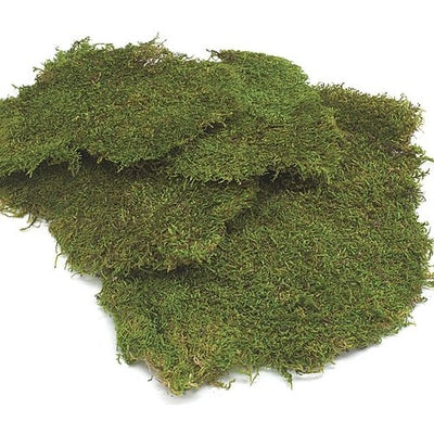 GREENERY - SHEET MOSS