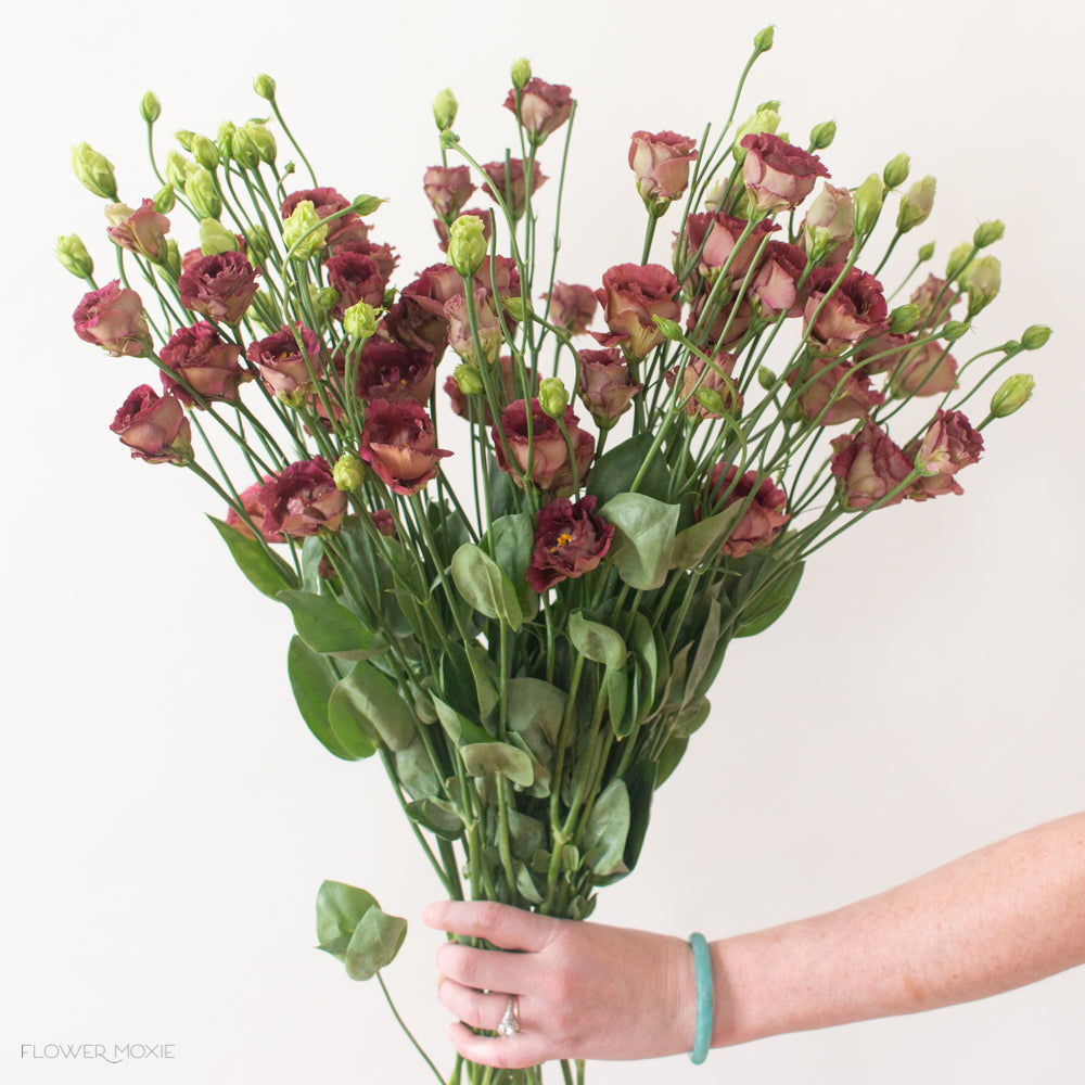 LISIANTHUS - BROWN