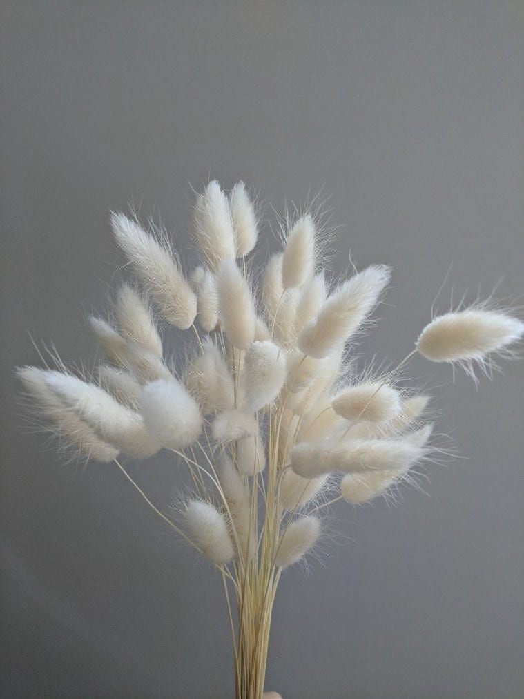BUNNY TAILS - BLEACHED
