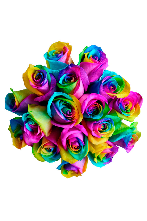 ROSE - DYED RAINBOW