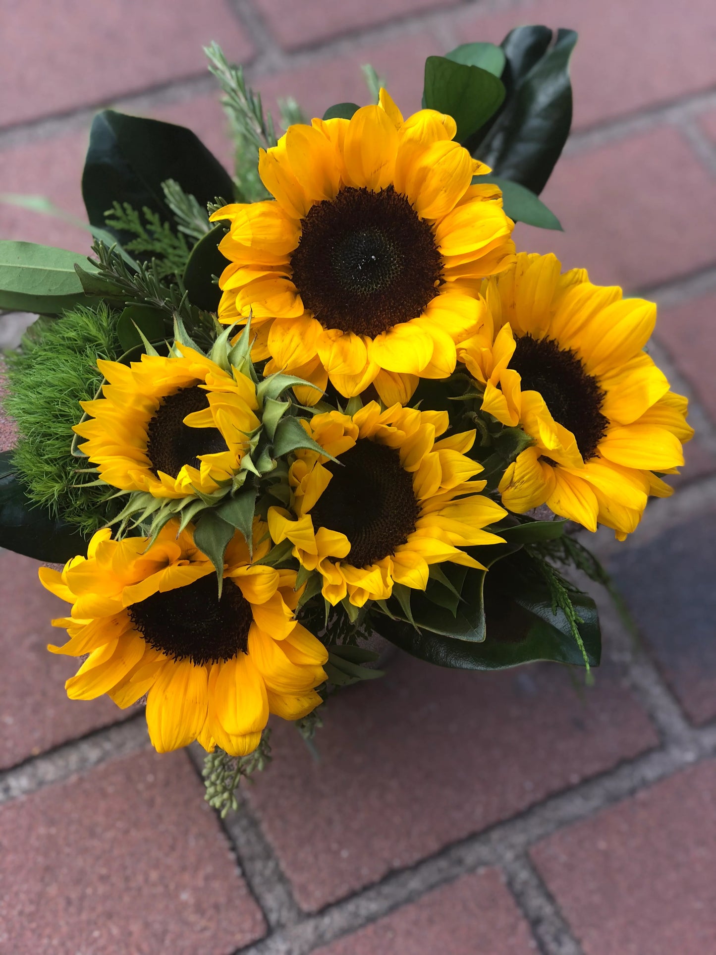 SUNFLOWER