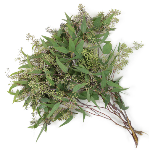 GREENERY - SEEDED EUCALYPTUS