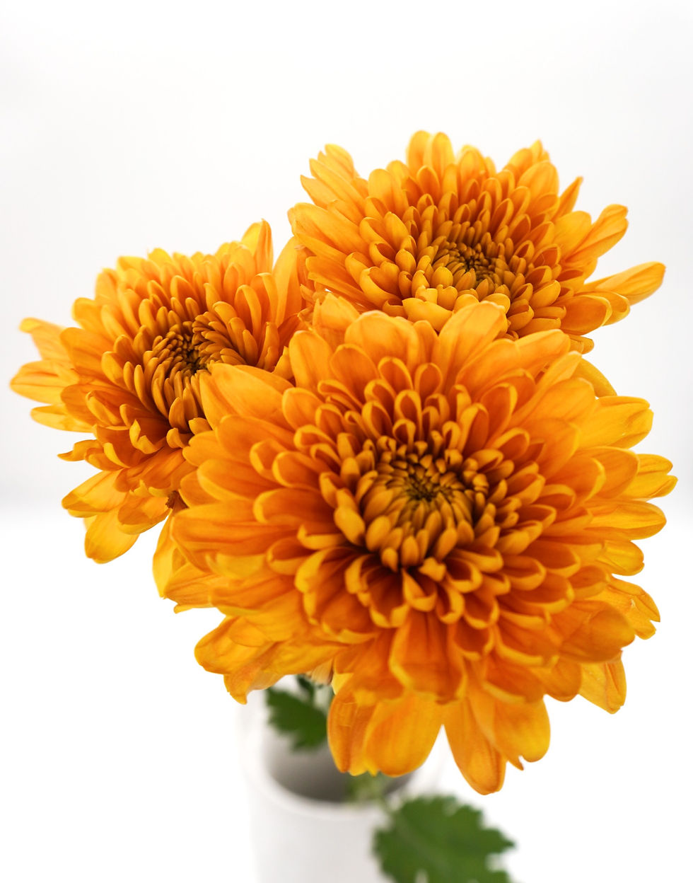 CREMON - BUTTERSCOTH