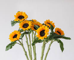MINI SUNFLOWER - 10 STEM BU