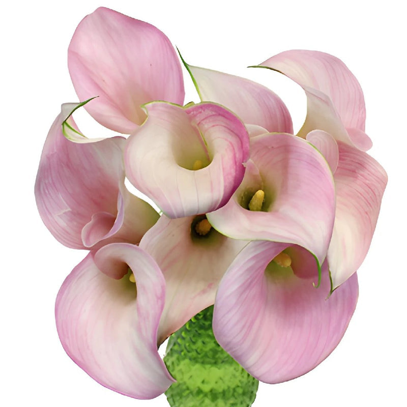 MINI CALLA - BLUSH