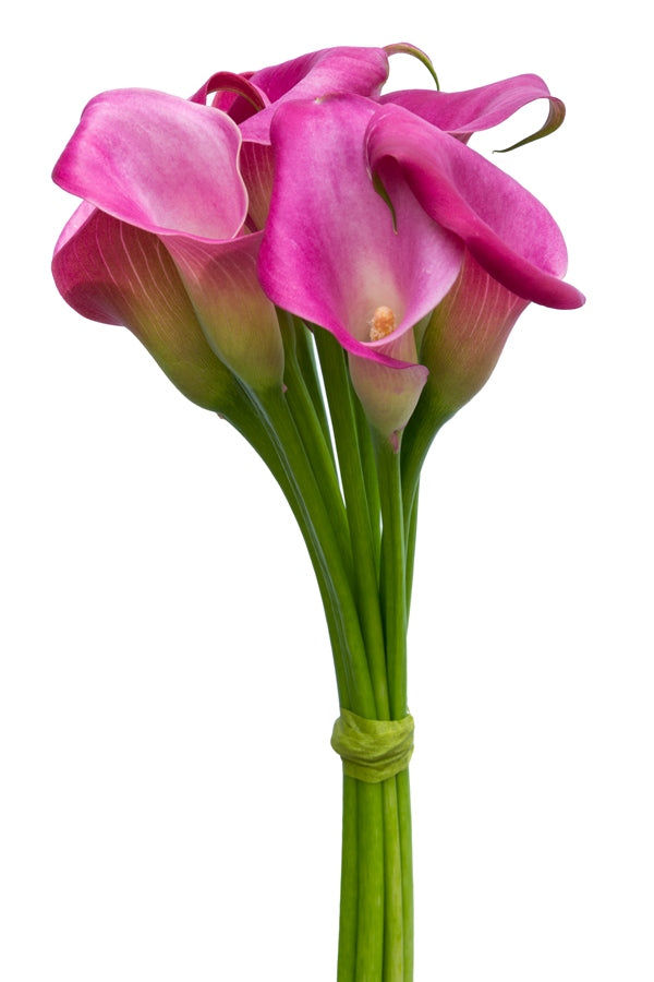 MINI CALLA - PINK