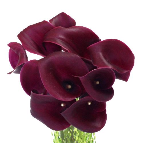 MINI CALLA - CRANBERRY