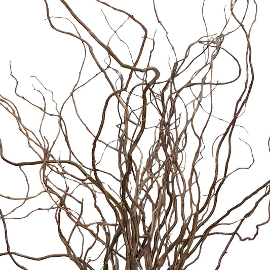 GREENERY - CURLY WILLOW TIPS