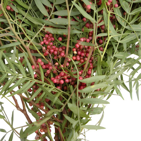 PEPPERBERRY