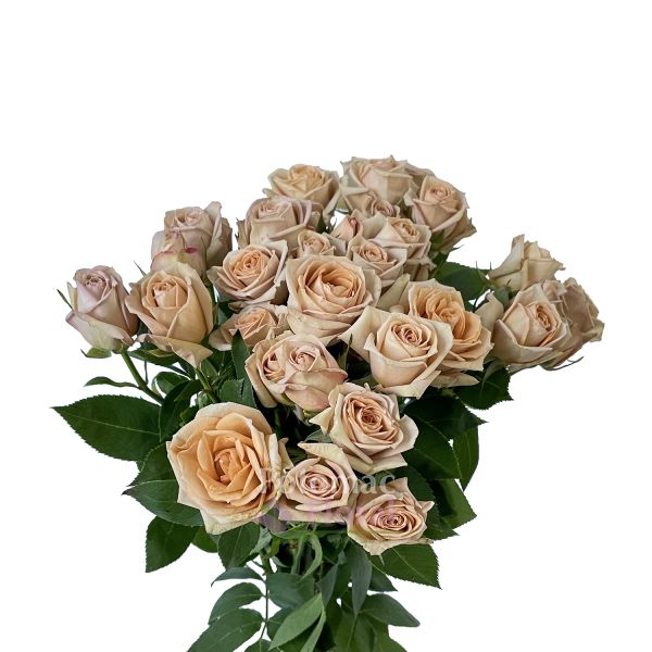 SPRAY ROSE - BROWN