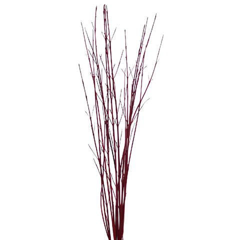 RED DOGWOOD