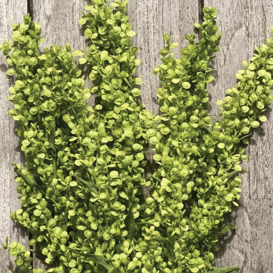 GREENERY - ATRIPLEX