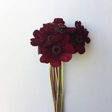 CHOCOLATE COSMO