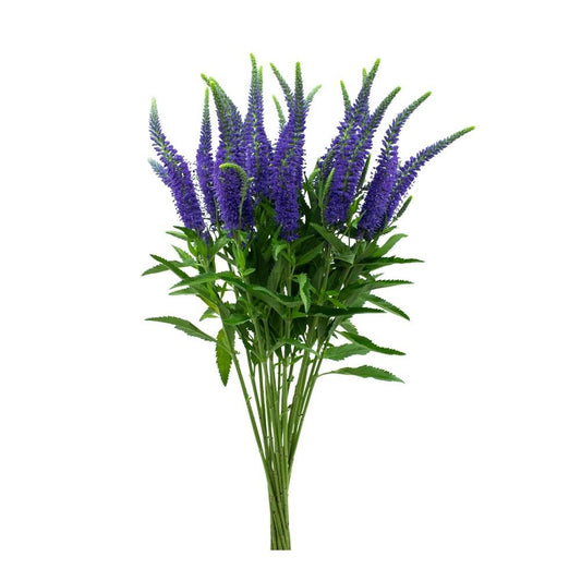 VERONICA - BLUE